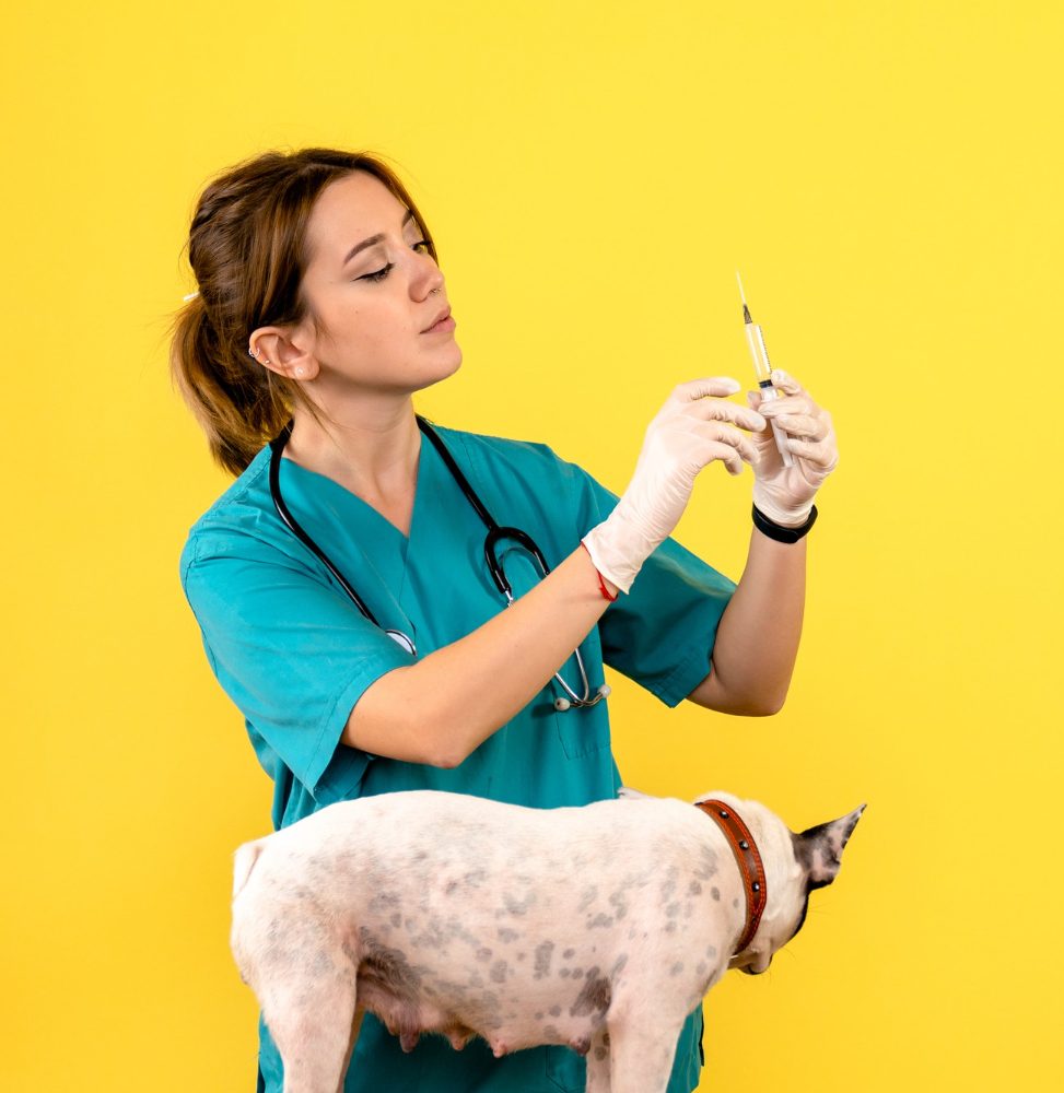 Routine and Regular Bloodwork